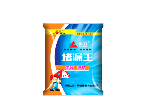 巴音郭楞帝興堵漏王